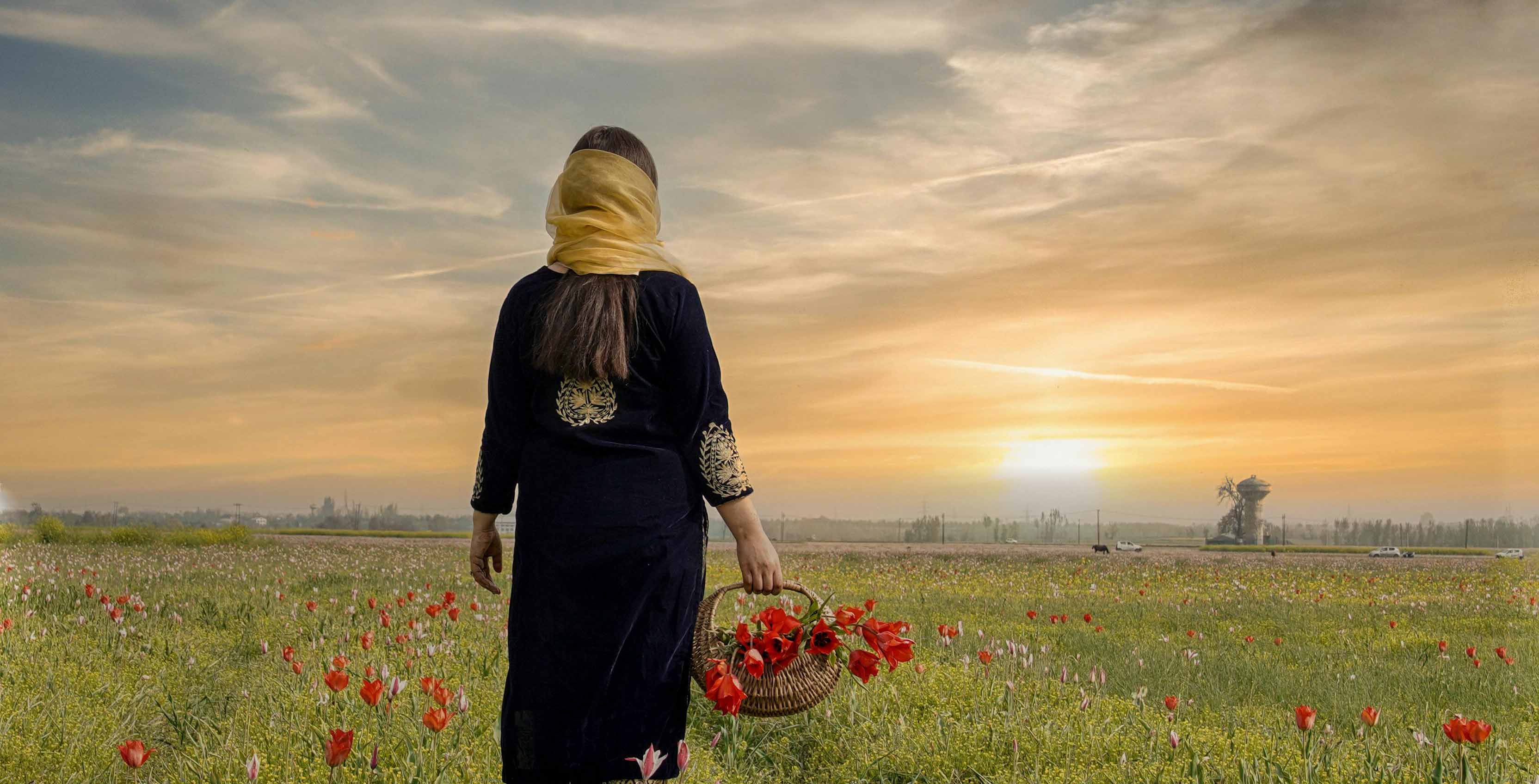 Deluxe Kashmir Getaway (5 Nights / 6 Days)