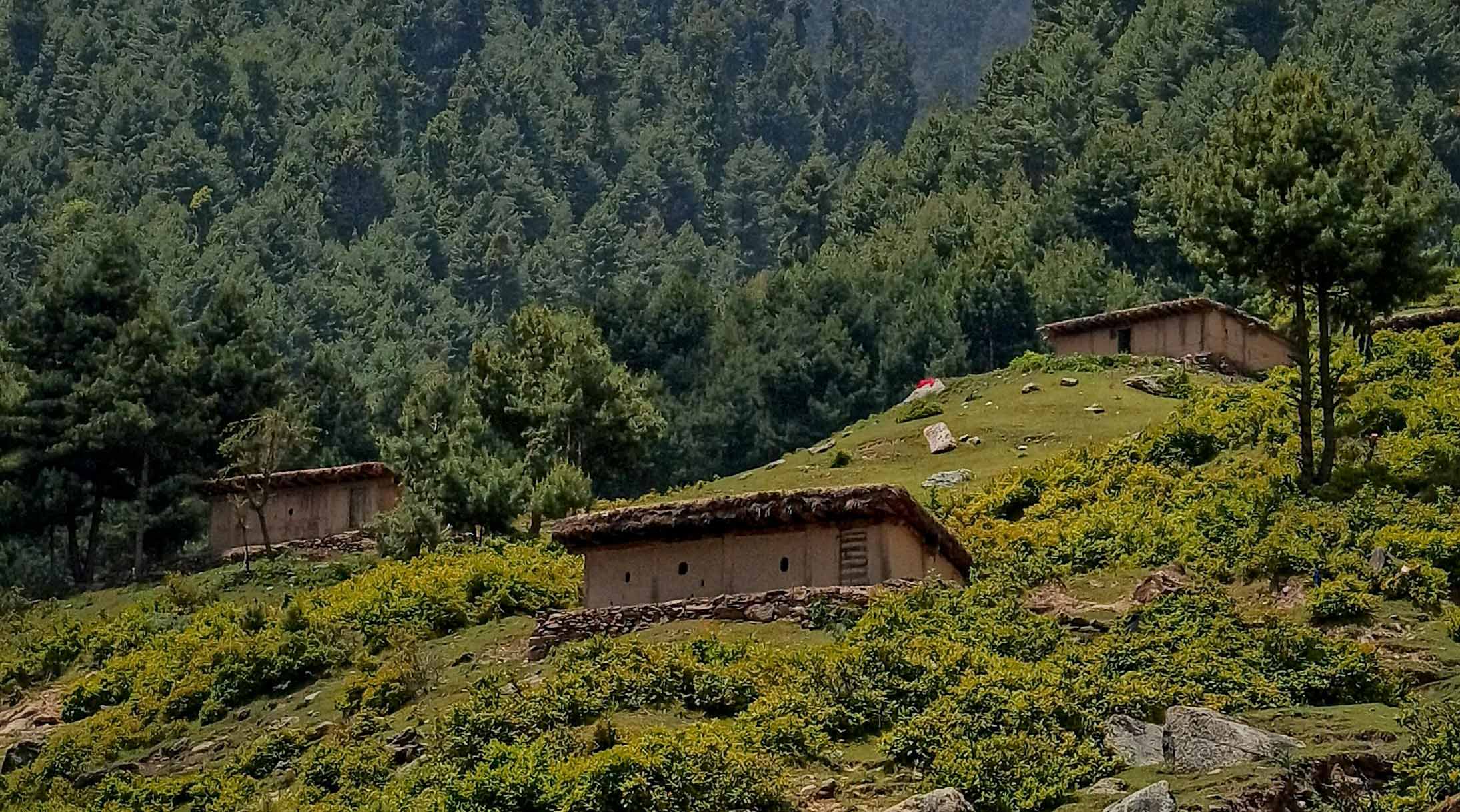 Luxury Kashmir Escape (3 Nights / 4 Days)