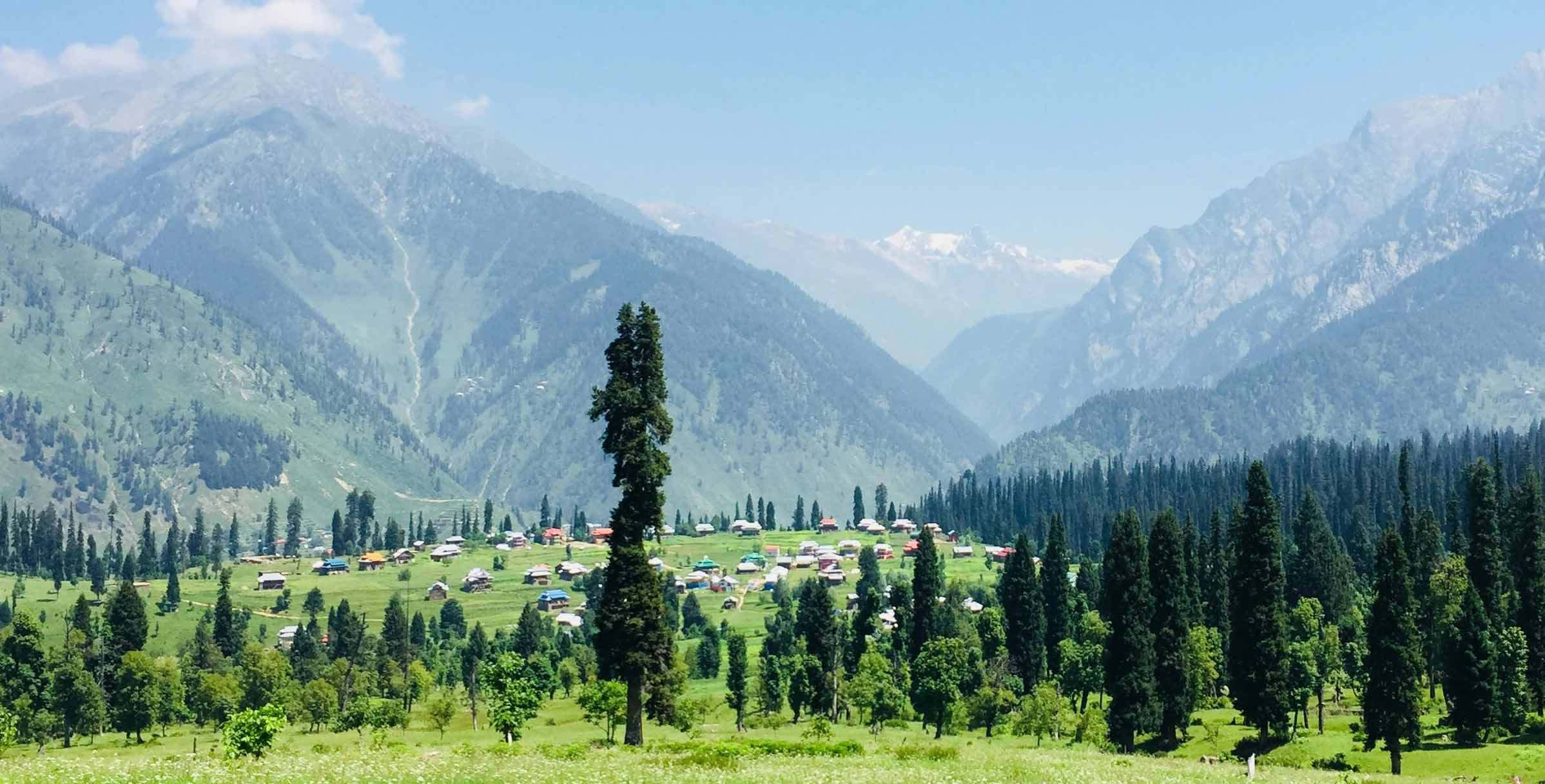 Love Afloat-A Night on the Dal