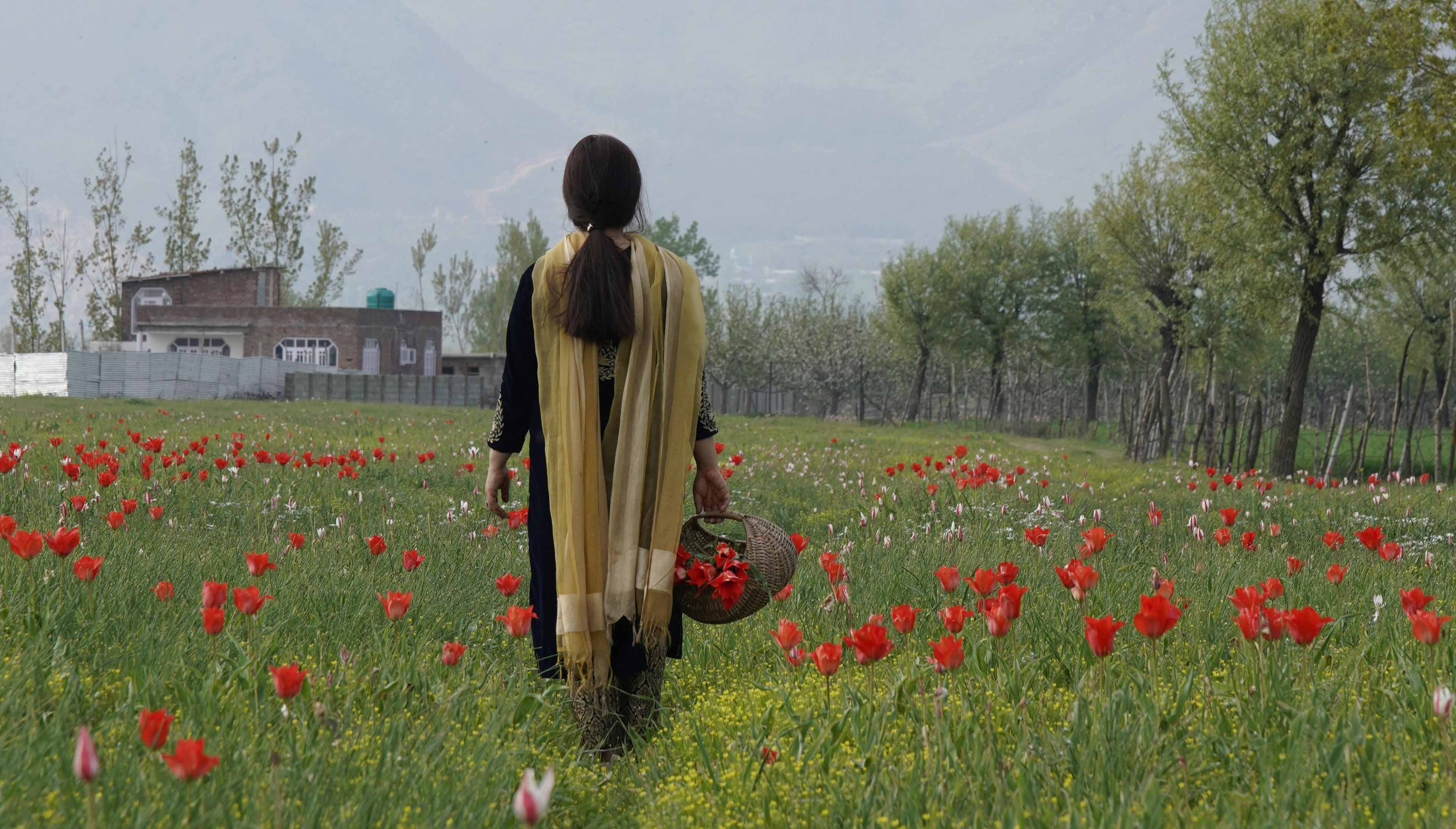 Forever Together: The Royal Honeymoon Trail