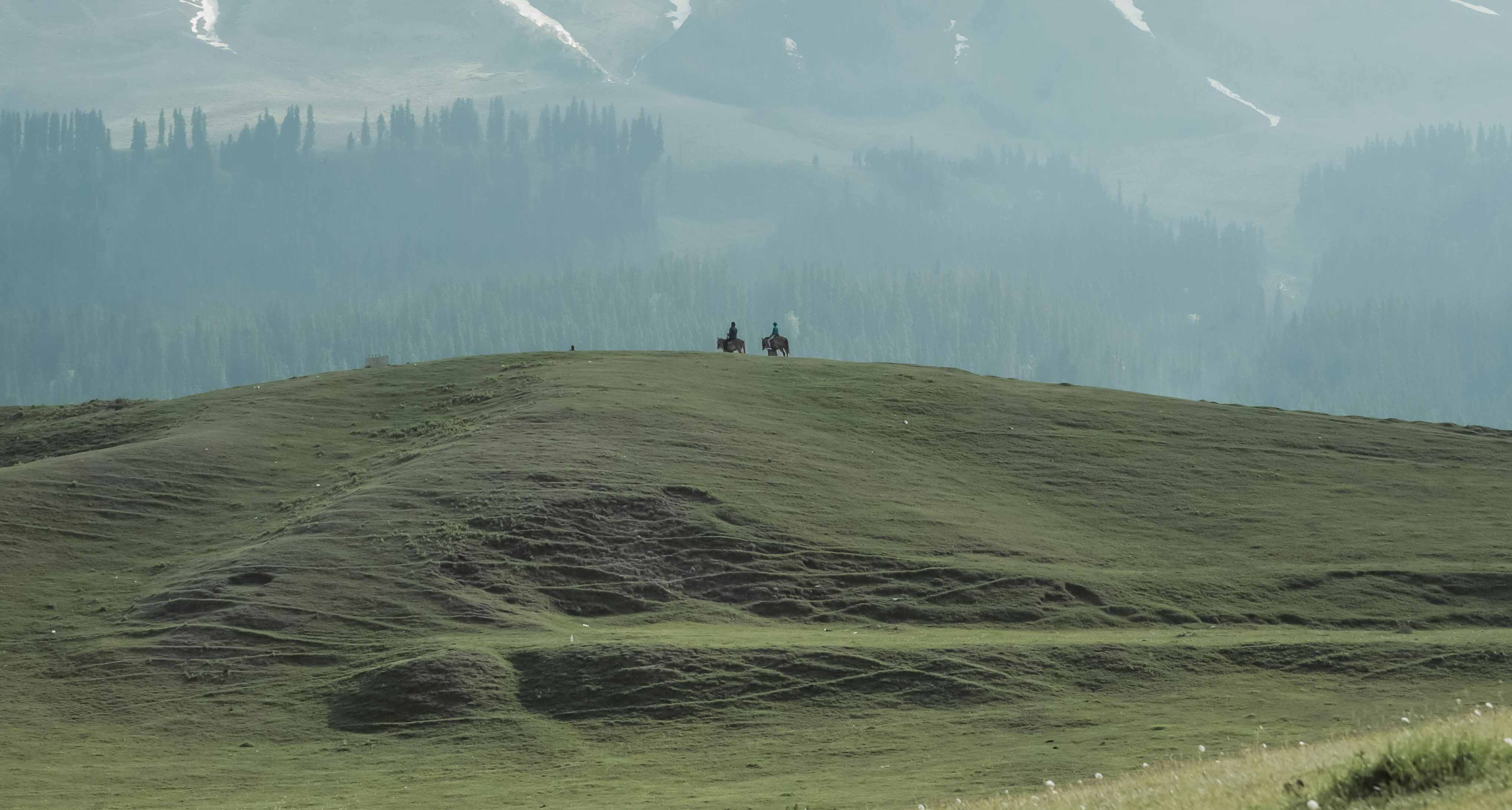 Budget Kashmir Delight (4 Nights / 5 Days)